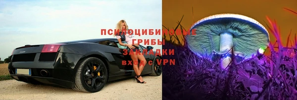 крисы Бородино