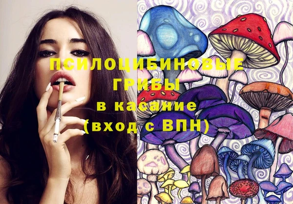 Альфа ПВП Богородск