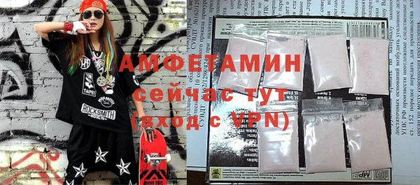 крисы Бородино