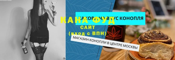 крисы Бородино