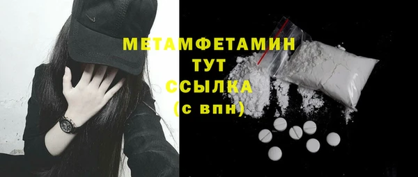 крисы Бородино