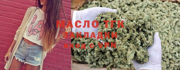 крисы Бородино