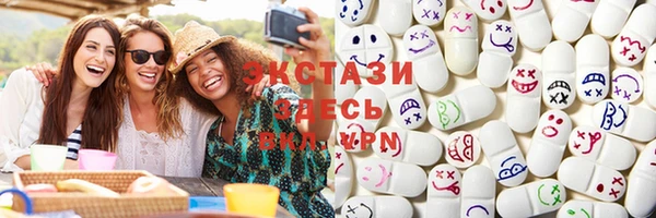 крисы Бородино