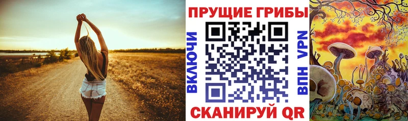 Псилоцибиновые грибы мухоморы  Купить где  Донской 